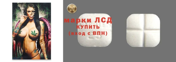 прущий лед Алзамай