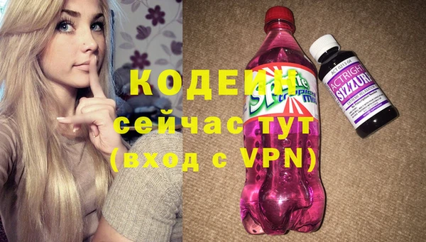 прущий лед Алзамай